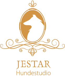 jestar-logo